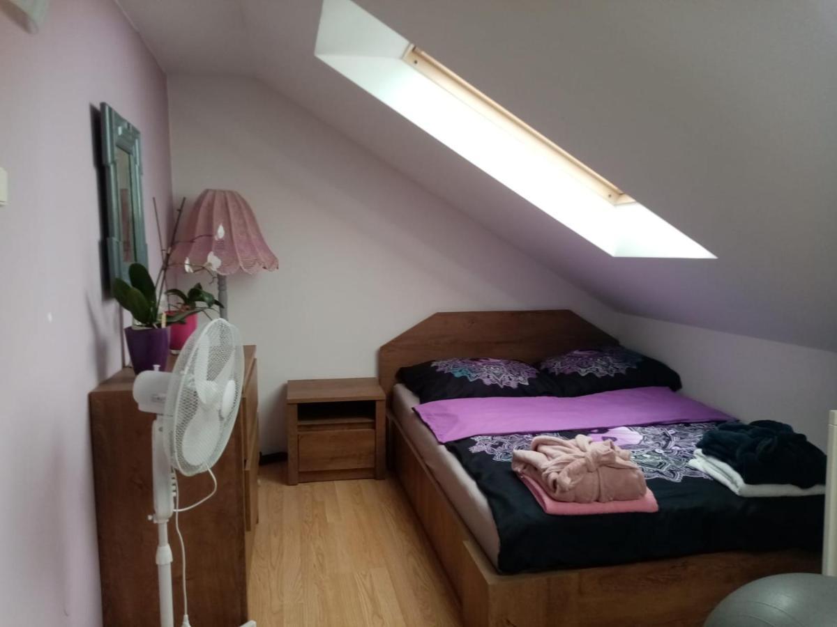 Ferienwohnung Podkrovni Apartman Tereza Rumburk Exterior foto